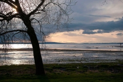 Bodensee