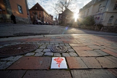Hildesheimer-Rosenroute
